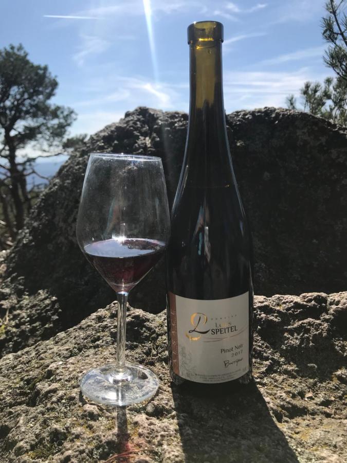 Gite Les clés des Vignes Dambach Esterno foto