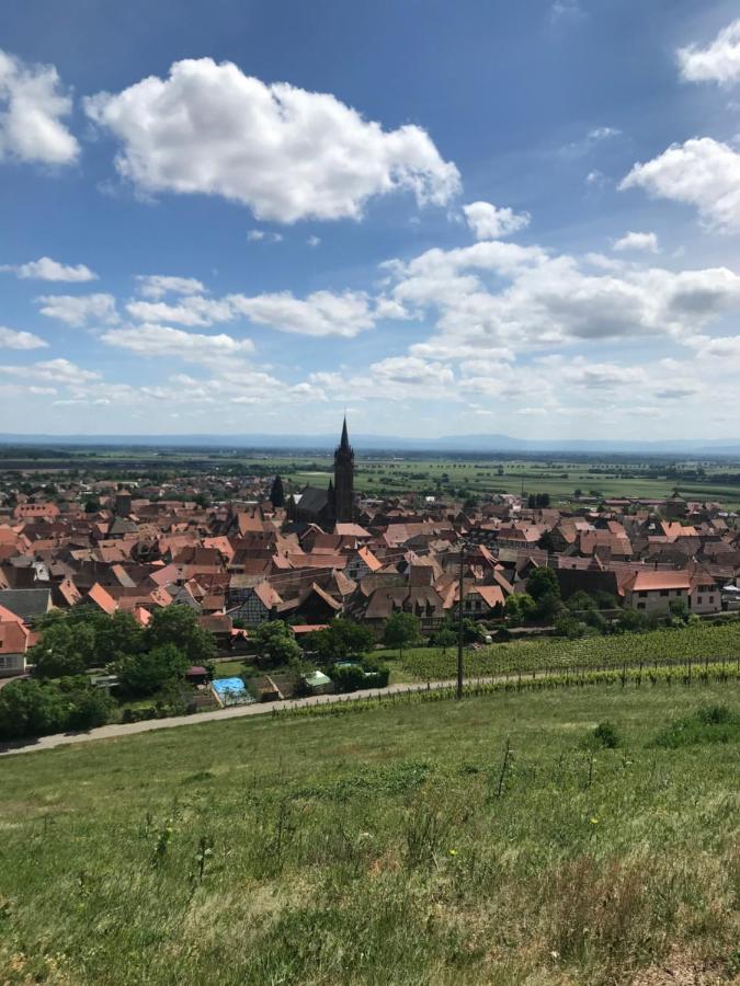 Gite Les clés des Vignes Dambach Esterno foto