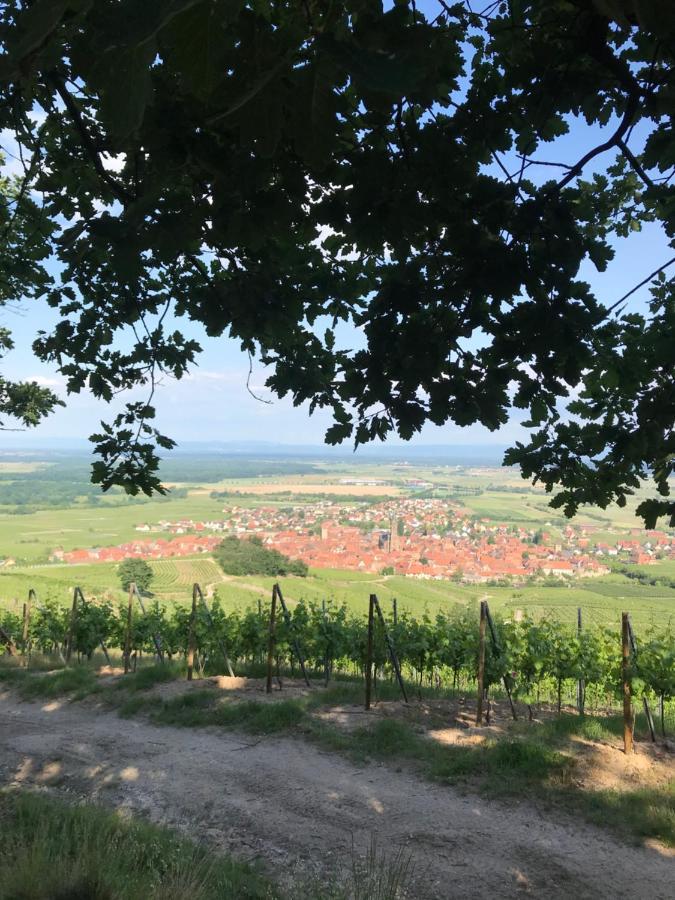 Gite Les clés des Vignes Dambach Esterno foto